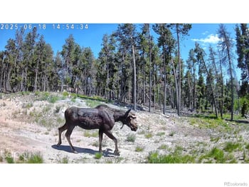 5431 Storm Mountain Dr, Drake, CO 80515
