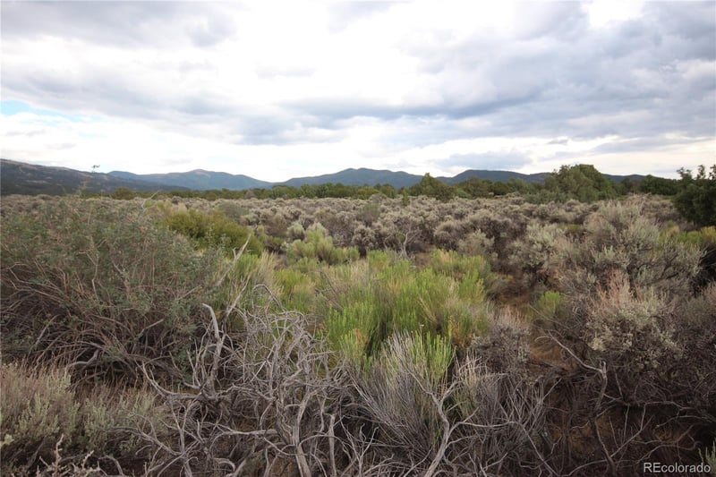 LOT 1783 Bateman Rd, Fort Garland, CO 81133
