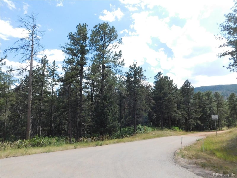 8169 Bannock Dr, Larkspur, CO 80118