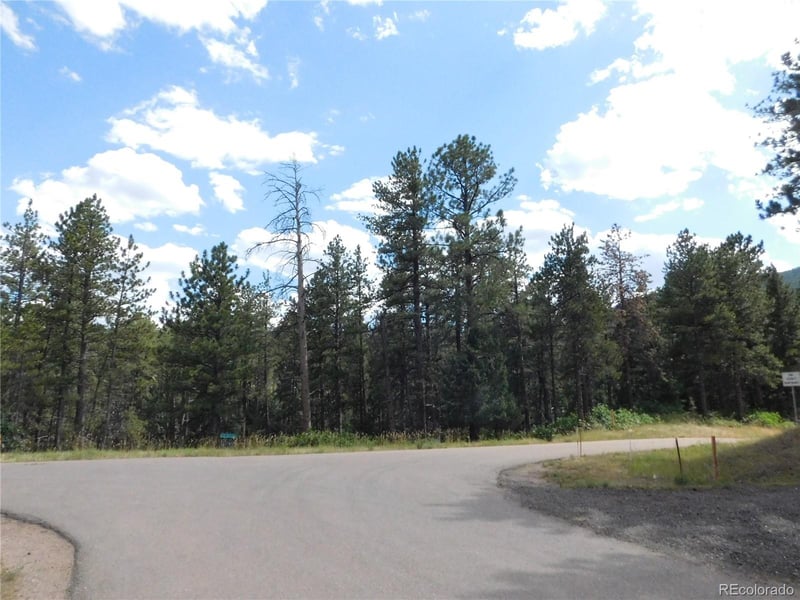 8169 Bannock Dr, Larkspur, CO 80118