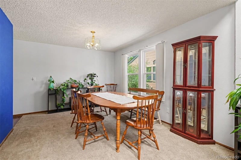 7309 S Mount Holy Cross, Littleton, CO 80127