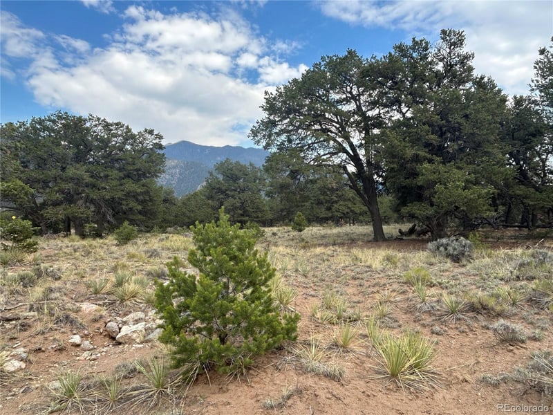 3530 Camino Del Rey, Crestone, CO 81131