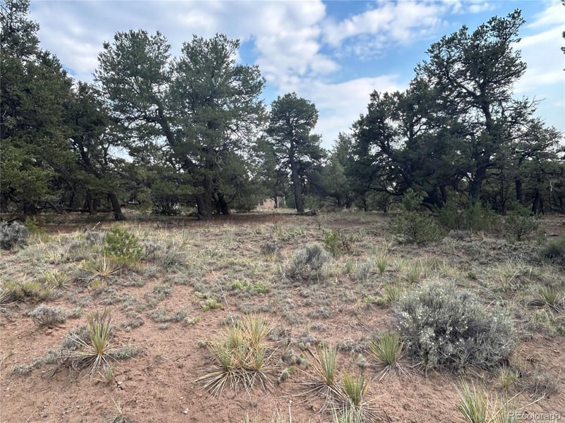 3530 Camino Del Rey, Crestone, CO 81131