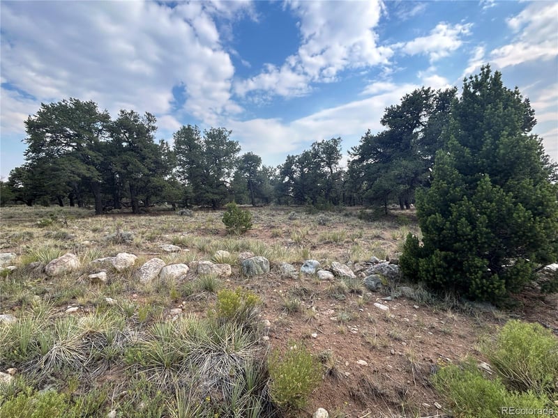 3530 Camino Del Rey, Crestone, CO 81131