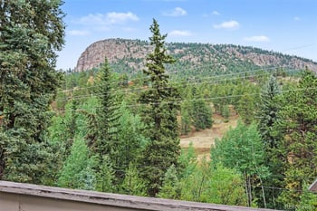 809 Roland Dr, Bailey, CO 80421