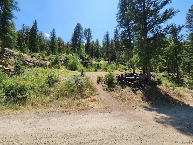256 Capital Rd, Dumont, CO 80436