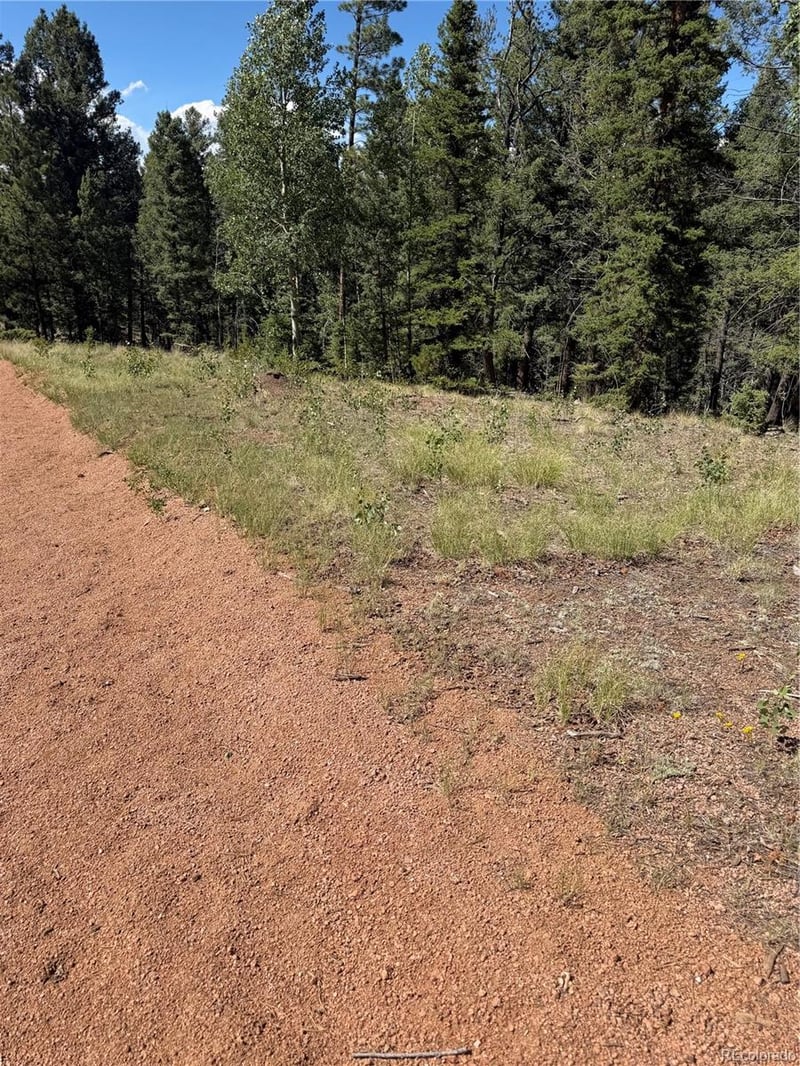1007 Derby Dr, Cripple Creek, CO 80813