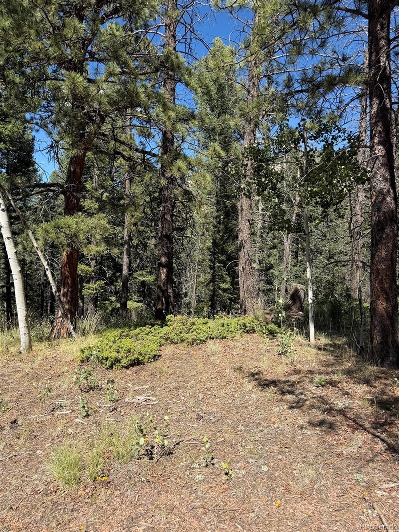 1007 Derby Dr, Cripple Creek, CO 80813