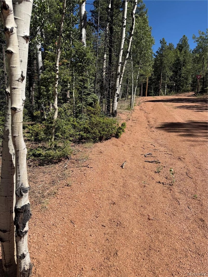 1007 Derby Dr, Cripple Creek, CO 80813