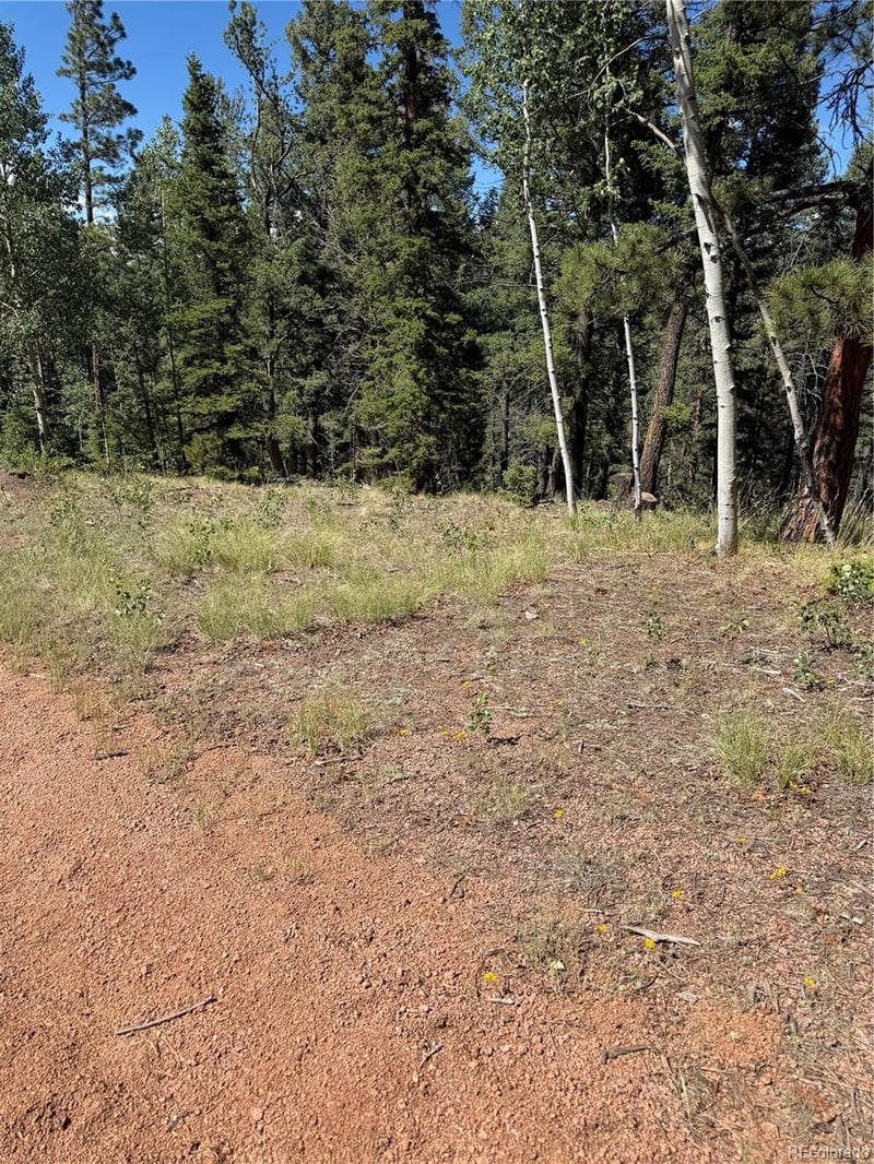 1007 Derby Dr, Cripple Creek, CO 80813