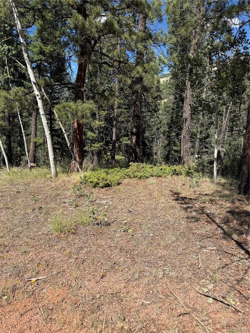 1007 Derby Dr, Cripple Creek, CO 80813