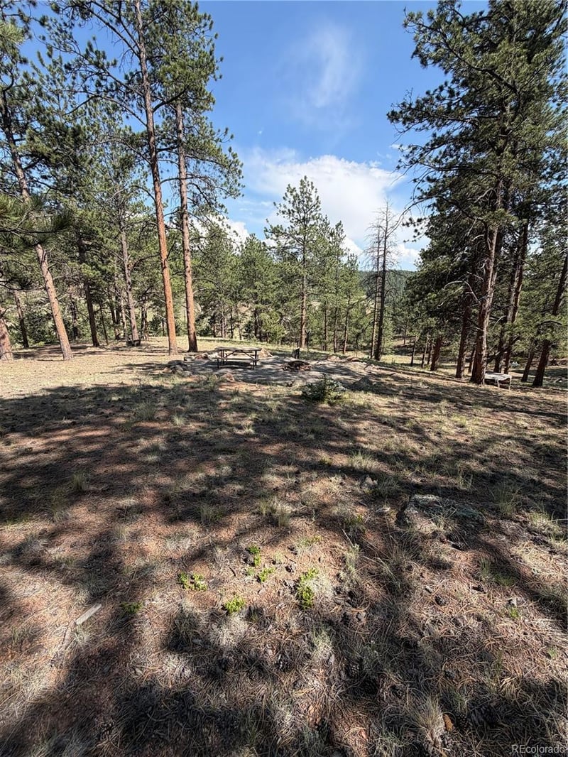 39 Rabbil Creek Trl, Florissant, CO 80816