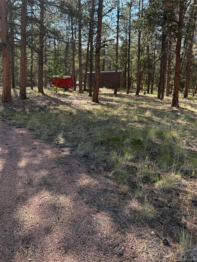 39 Rabbil Creek Trl, Florissant, CO 80816