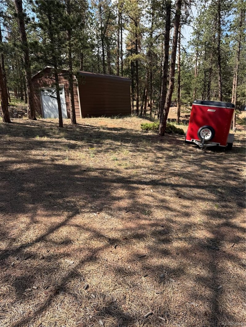 39 Rabbil Creek Trl, Florissant, CO 80816