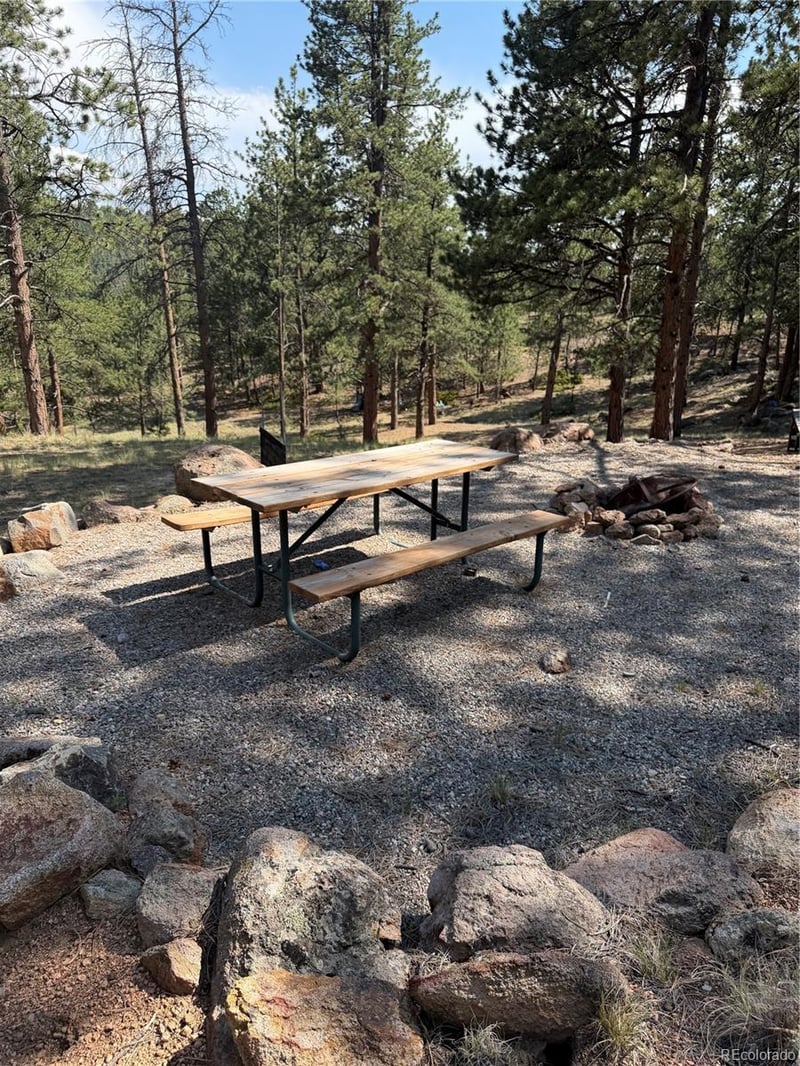 39 Rabbil Creek Trl, Florissant, CO 80816