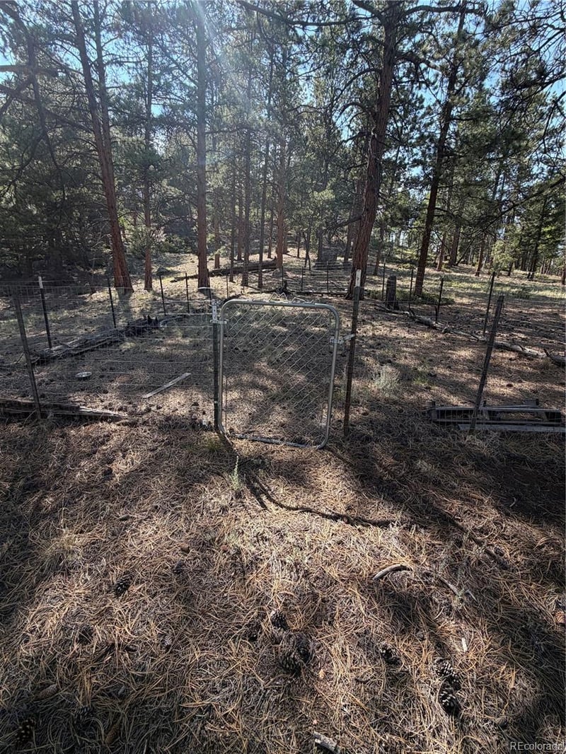 39 Rabbil Creek Trl, Florissant, CO 80816