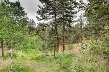 9209 William Cody Dr, Evergreen, CO 80439