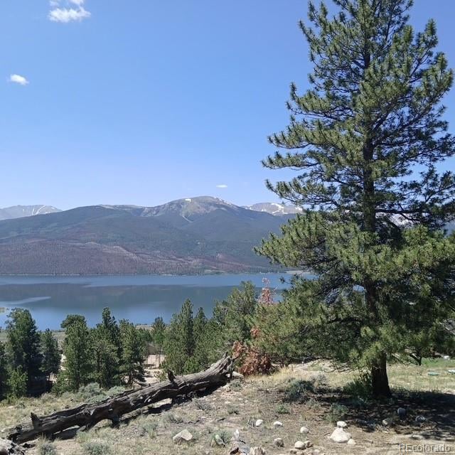 198 Parry Peak Dr Lot 167, Twin Lakes, CO 81251