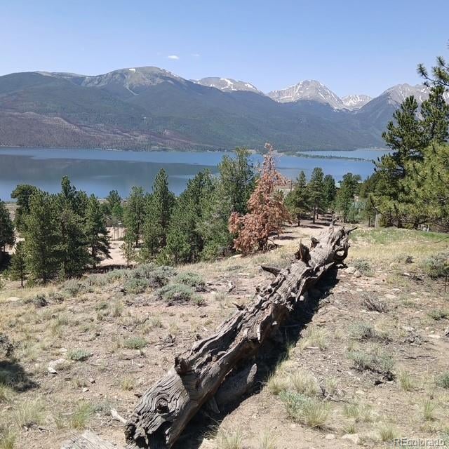 198 Parry Peak Dr Lot 167, Twin Lakes, CO 81251