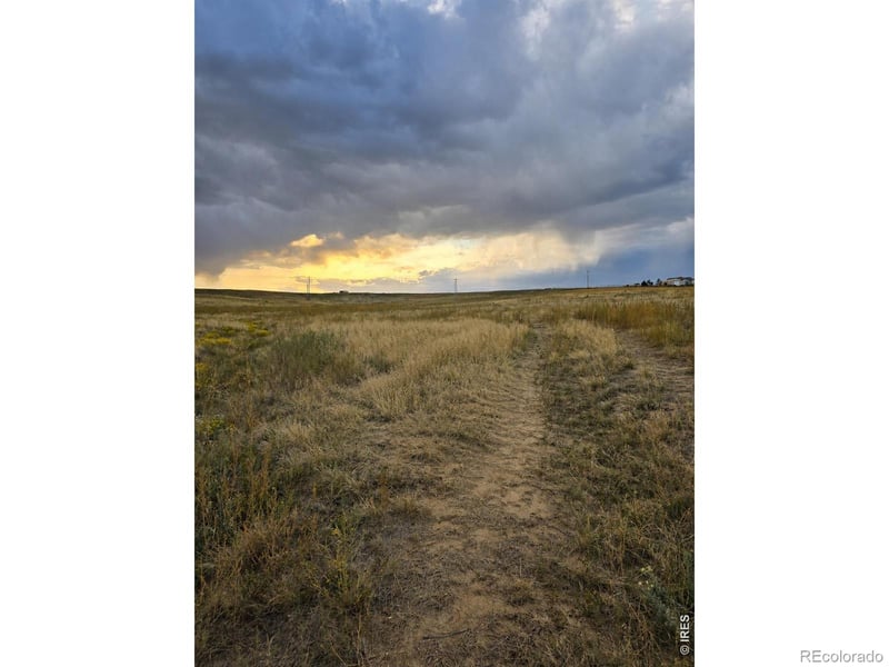 County Road 84, Fort Collins, CO 80524