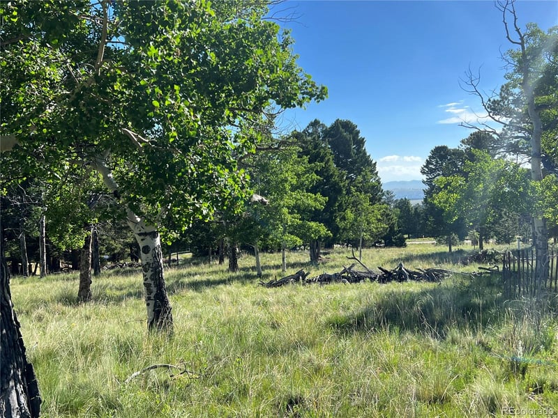 9430 Ranch Rd, Hartsel, CO 80449