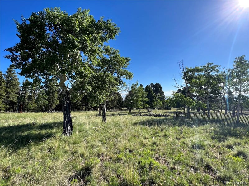 9430 Ranch Rd, Hartsel, CO 80449
