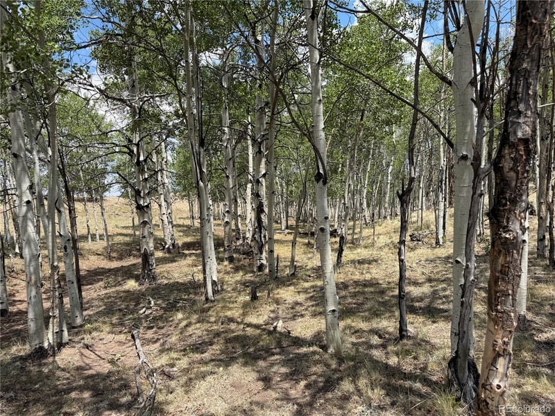 9430 Ranch Rd, Hartsel, CO 80449