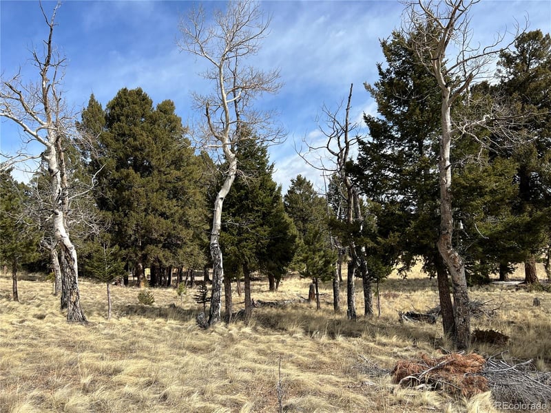 9430 Ranch Rd, Hartsel, CO 80449