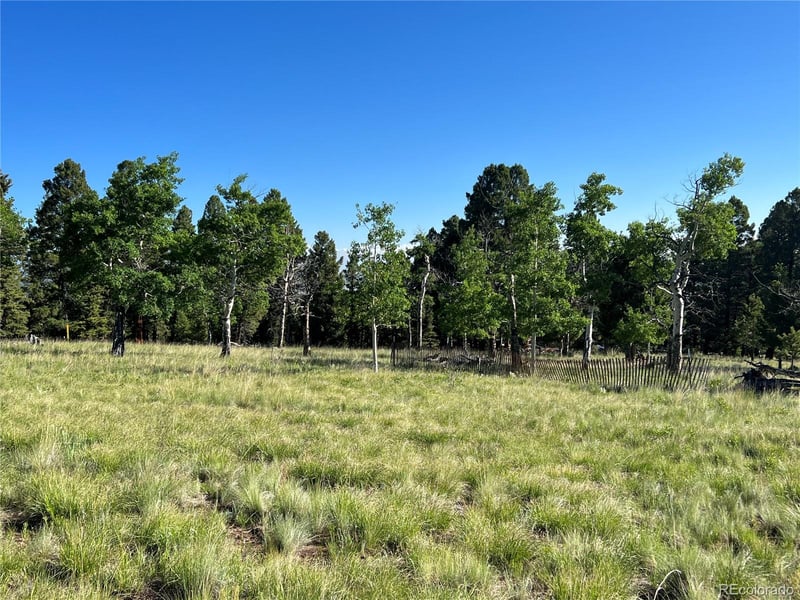 9430 Ranch Rd, Hartsel, CO 80449