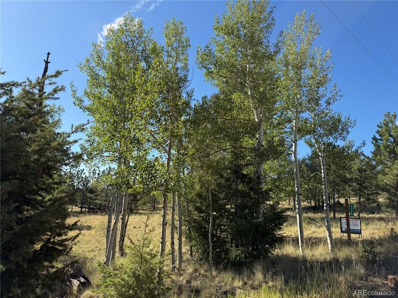 9430 Ranch Rd, Hartsel, CO 80449
