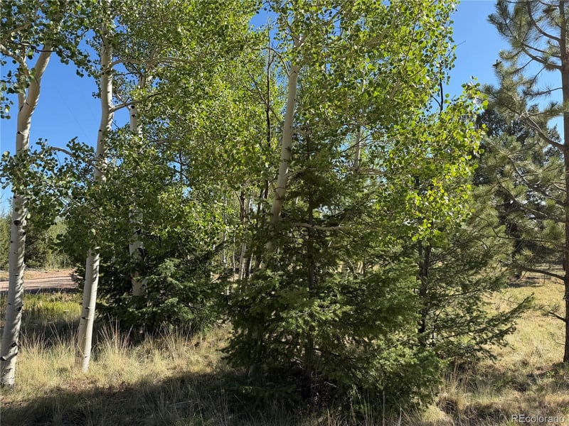 9430 Ranch Rd, Hartsel, CO 80449