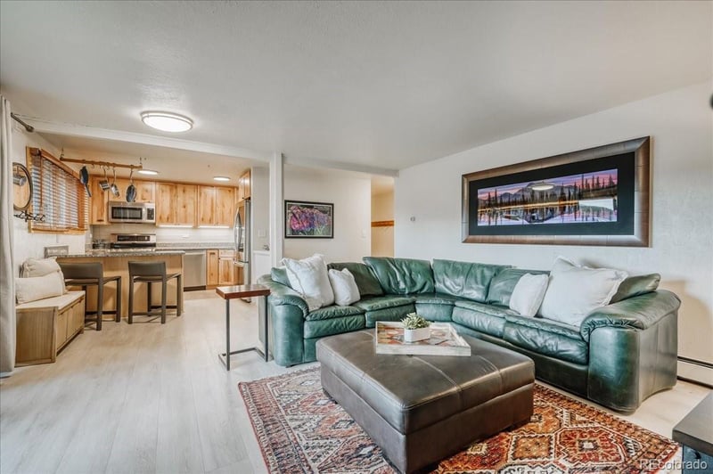 365 Salt Lick Cir, Silverthorne, CO 80498
