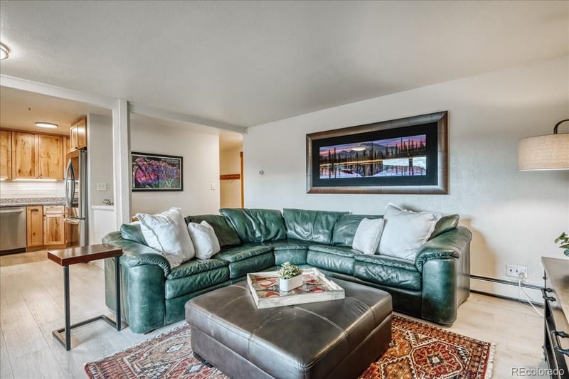 365 Salt Lick Cir, Silverthorne, CO 80498