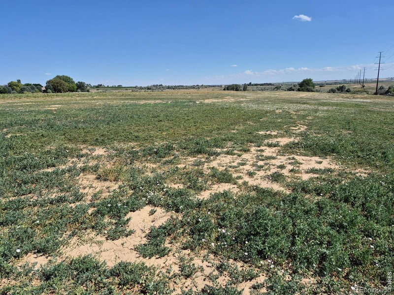 9140 County Road 54, Milliken, CO 80543