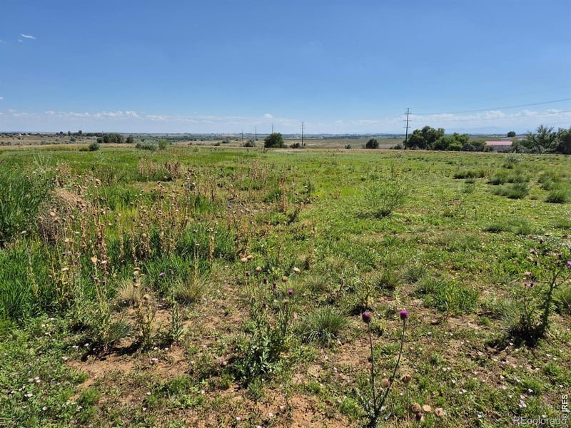 9140 County Road 54, Milliken, CO 80543