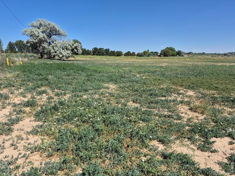 9140 County Road 54, Milliken, CO 80543