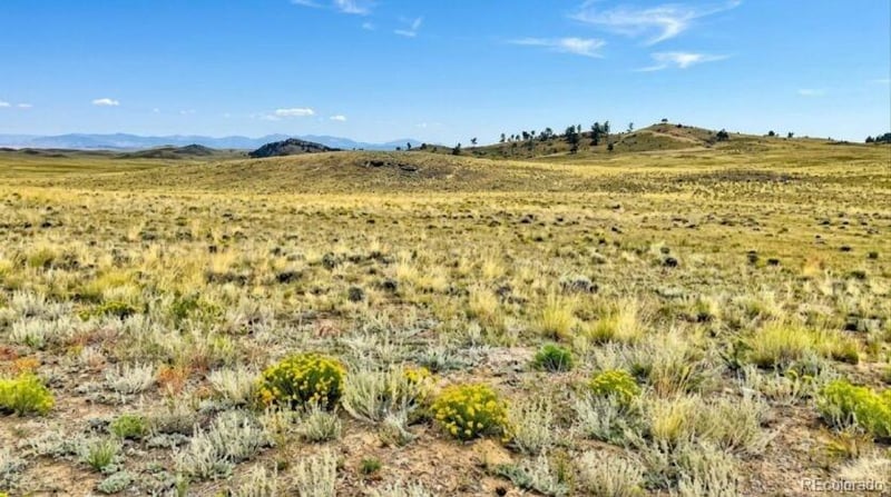 123 Shawnee Trl, Hartsel, CO 80449