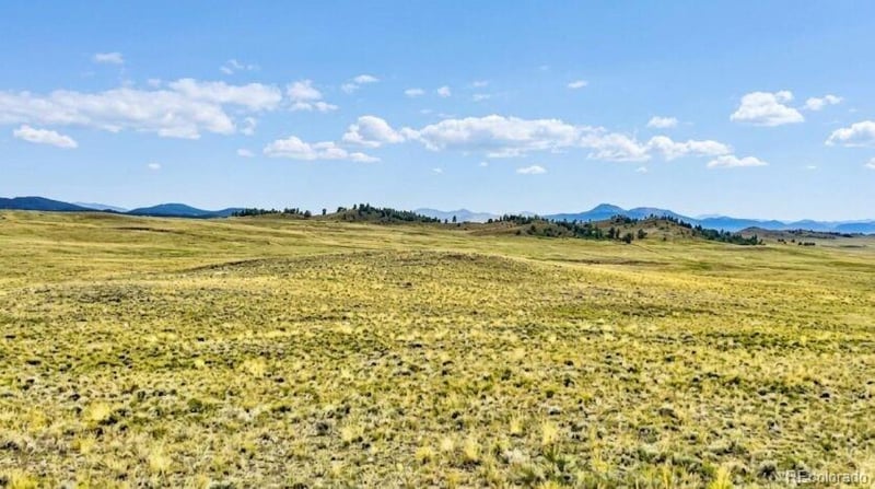 123 Shawnee Trl, Hartsel, CO 80449