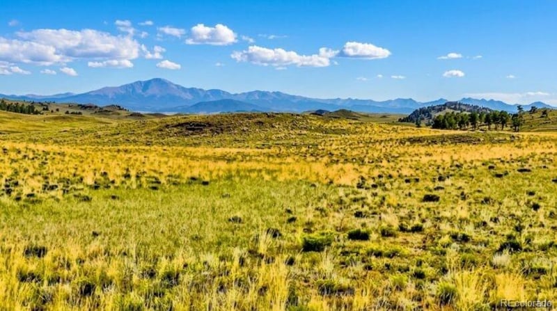 123 Shawnee Trl, Hartsel, CO 80449