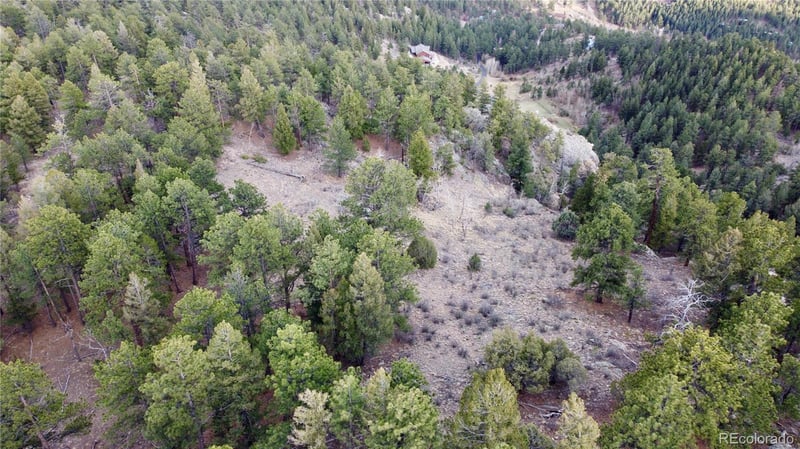 Delwood Dr, Bailey, CO 80421