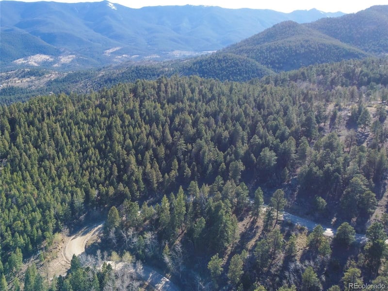 Delwood Dr, Bailey, CO 80421