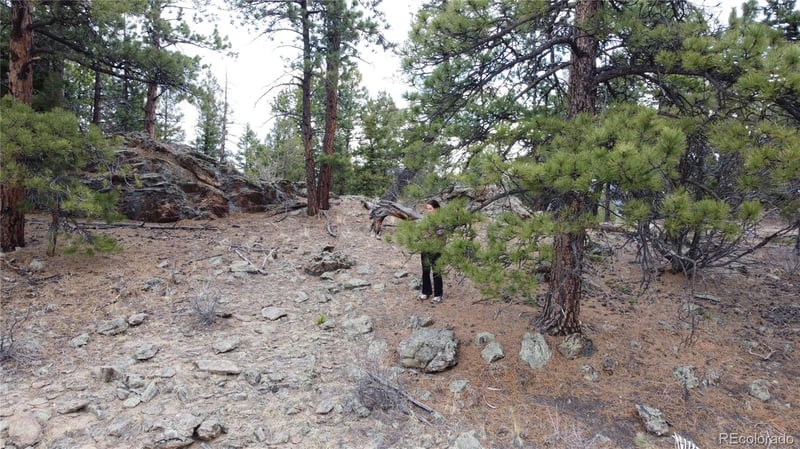 Delwood Dr, Bailey, CO 80421