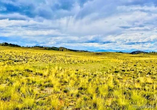 123 Chickamauga Trl, Hartsel, CO 80449