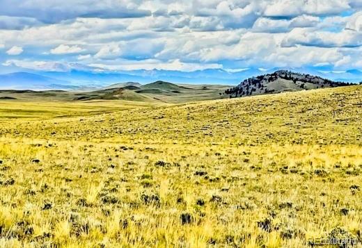 123 Chickamauga Trl, Hartsel, CO 80449