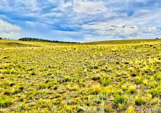 123 Chickamauga Trl, Hartsel, CO 80449