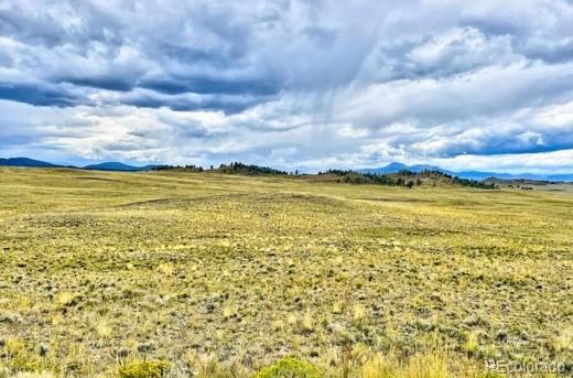 10341 Caddo Rd, Hartsel, CO 80449