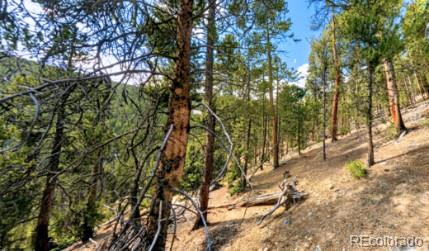 111 Kevin Gulch Rd, Leadville, CO 80461