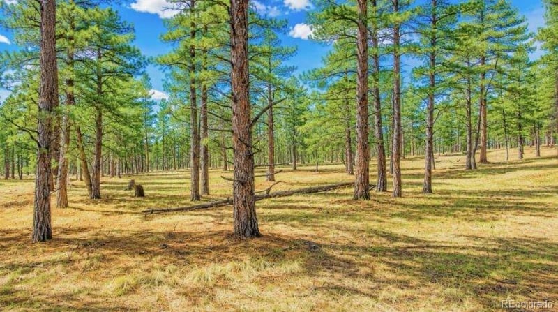 196 Freeman Dr, Florissant, CO 80816