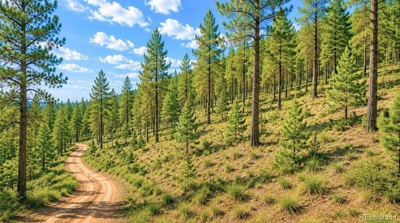 196 Freeman Dr, Florissant, CO 80816
