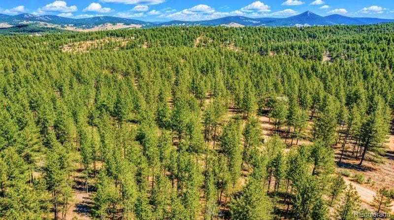 196 Freeman Dr, Florissant, CO 80816